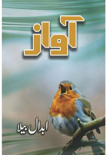 AWAZFront-993456.jpg