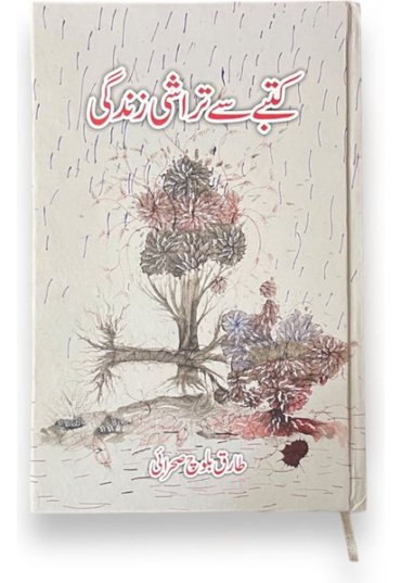 Kutbaysetarashizindagifront-TariqBalochSehraei-Sang-e-meel.jpg