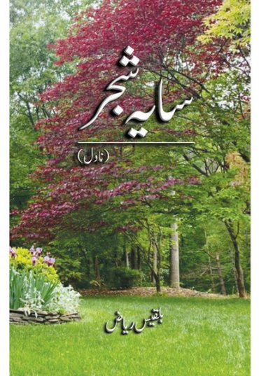 SayaShajarFront-386048.jpg