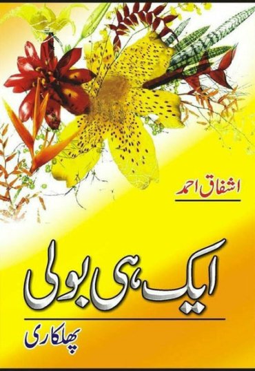 aik-hi-bolee-phulkari-232379-959757.jpg