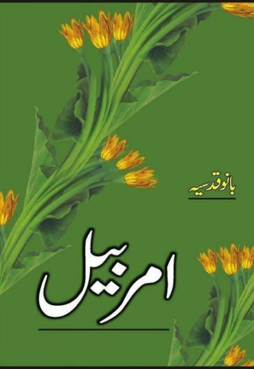 amar-bail-544039-628481.jpg