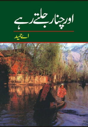 aur-chanaar-jaltay-rahay-293724-461045.jpg