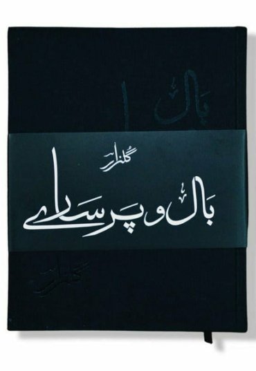 baal-o-par-saaray-gulzar-bal-o-pr-sar-glzar-528524-505532.jpg
