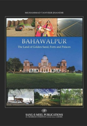 bahawalpur-the-land-of-golden-sand-forts-901911-487500.jpg