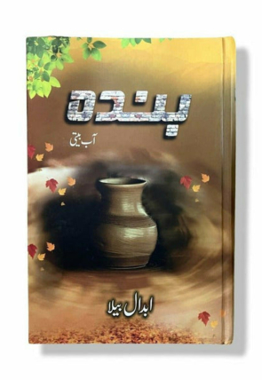 banda-aab-beeti-106242-841019.jpg