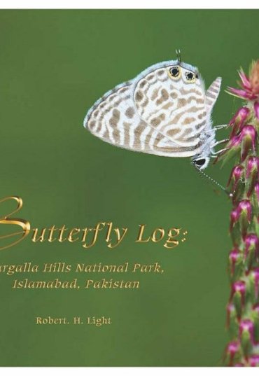 butterfly-log-margalla-hills-national-park-780046-318614.jpg