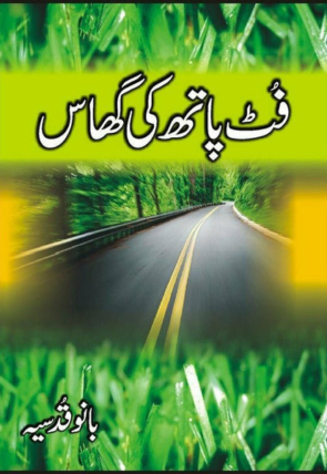 foot-paath-ki-ghaas-738360-313311.jpg