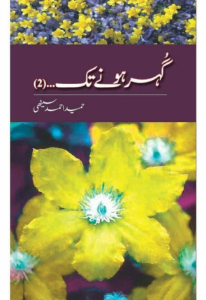 gohar-honay-tak-2-734618-955340.jpg