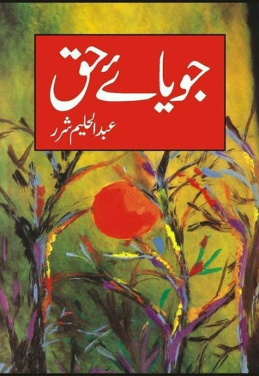 joya-i-haq-147266-151309.jpg