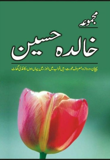 majmua-khalida-hussain-pehchan-etc-152359-230814.jpg