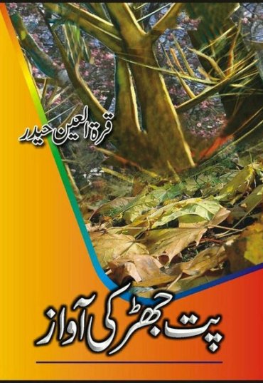 pat-jhar-kee-awaaz-712716-117868.jpg