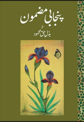 punjabi-mazmoon-222998-451994.jpg