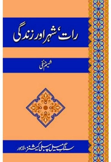 raat-sheher-aur-zindagi-400620-419724.jpg
