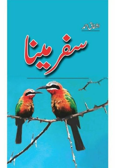 safar-e-maina-864257-448286.jpg