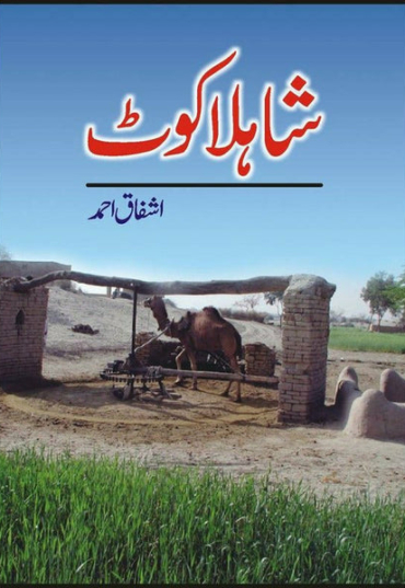 shahla-kot-787501-451975.jpg