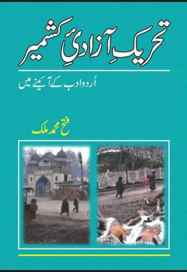 tehreek-azadi-kashmirurdu-adab-kay-aienay-main-120194-995615.jpg