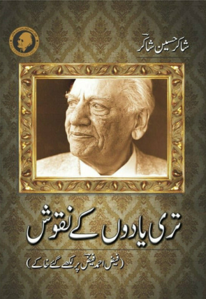 teri-yadoon-kay-naqoosh-647690-592464.jpg