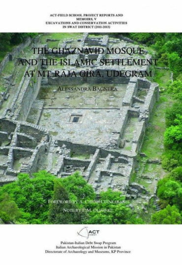 the-ghaznavid-mosque-and-the-islamic-settlement-426450-761041.jpg