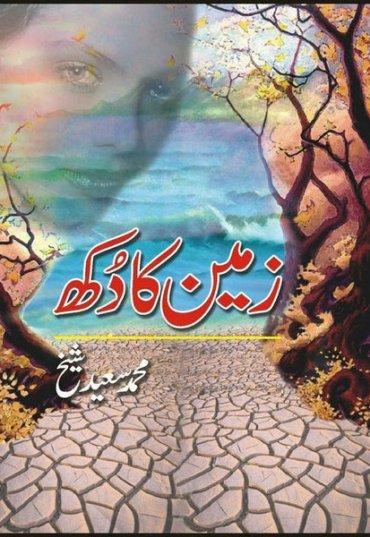 zameen-ka-dukh-458213-216680.jpg